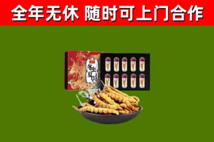 芦淞回收冬虫夏草价格
